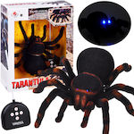 Black Widow Remote Controlled Toy Black