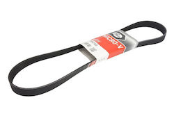 Gates Multi-V-Gürtel Getriebe Gürtel 7pk1153 Nissan 1153mm 24.9mm Schwarze 7 Rippen Gates Multi-V-Gürtel Getriebe Gürtel 7pk1153 Nissan 1153mm 24.9mm Schwarze 7 Rippen