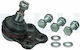 Delphi Load Guide Joint