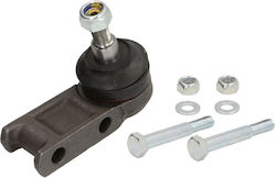 Delphi Load Guide Joint