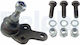 Delphi Load Guide Joint Right Left Lower Front Cone Diameter 21mm Volvo C30 C70 Ii S40 Ii V50 Ford C-max Focus Ii