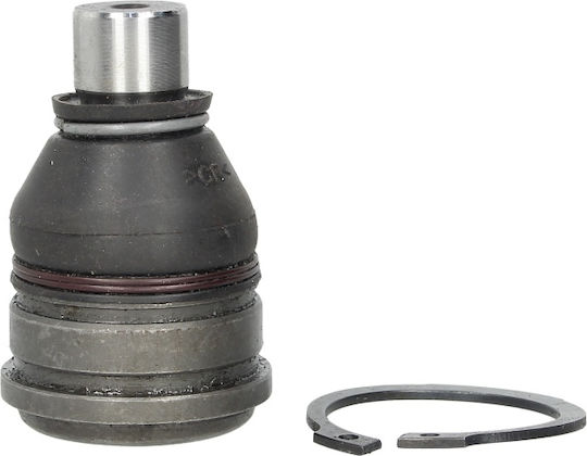 Articulație de Sarcină a Direcției Delphi Dreapta Stângă Pivot Inferior Față Diametru Conic 17.5mm Ford Fiesta Vi Mazda 2 6 1.0-2.3 06.02-04.17