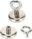 Neodymium Ring Magnet 20 Mm Kraft&dele Kd11830