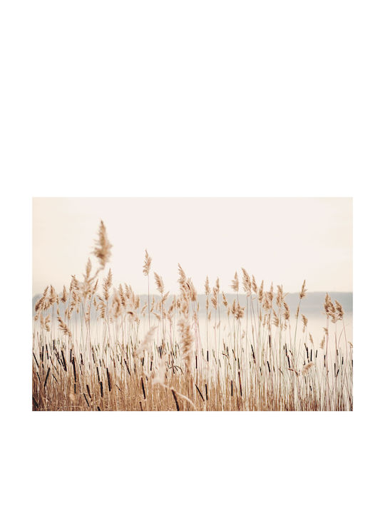 Modern Wallpaper Living Room Wallpaper Pampas Grass Boho Beige 240x360