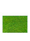 Contemporary Wall Mural Living Room Green Moss Weed 148x220
