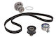 Water Pump Set + Skf Timing Belt