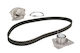 Water Pump Set + Skf Timing Belt