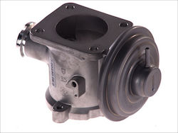 Pierburg Egr Valve