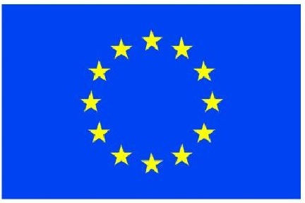 Flag of the European Union 100x70cm