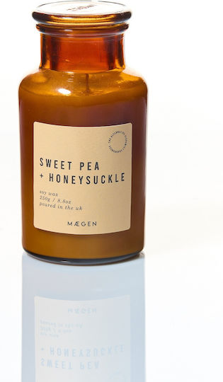 Maegen Αρωματικό Κερί σε Βάζο με Άρωμα Alchemist 250gr