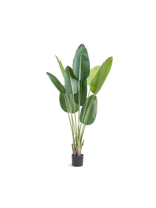 Künstlicher dekorativer Zweig Paradiesvogel Grün 152.4cm Strend Pro