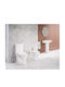 Sanindusa Floor-Standing Toilet with Flush