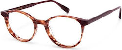 Gigi Barcelona Women's Acetate Brown Tortoise P...