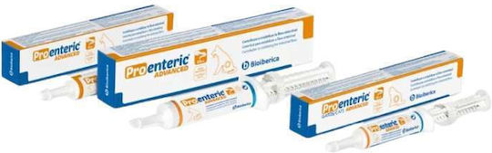 Proenteric Paste Dietary Supplement for Dogs 15ml for Gastrointestinal Disorders