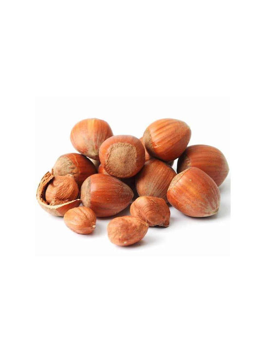 Pallas Hazelnut Tree