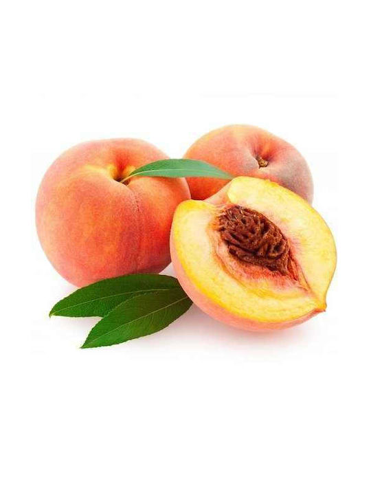 Peach Tree T-bel Late