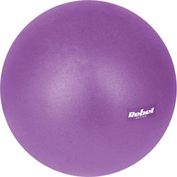 Mini Μπάλα Pilates 25cm 0.13kg σε Μωβ Χρώμα