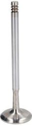 Freccia Intake Valve