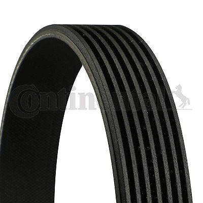 Contitech Multi-V-Belt Transmission Belt 7pk1236 Fiat Ducato 2.3d Length 1236mm 7 Ribs