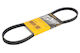Contitech V-belt