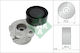 Tensioner Ina Drive Belt
