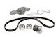 Water Pump Set + Skf Timing Belt
