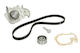 Water Pump Set + Ina Timing Belt