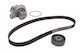 Water Pump Set + Ina Timing Belt