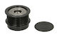 Pulley Alternator Ina