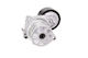 Tensioner Ina Drive Belt