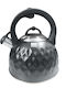 Bass Polska Wasserkocher Edelstahl Gray 3000ml