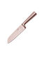 Berlinger Haus Μαχαίρι Santoku από Ανοξείδωτο Ατσάλι 17.5cm