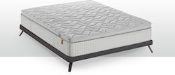 Linea Strom LIN.LFT.131-140 Dublu Spumă 140x200buc
