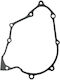 Schwungrad-Dichtung Sym Vf 125 Original