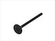 Freccia Exhaust Valve