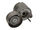 Tensioner Skf Drive Belt