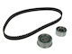 Ina Timing Belt Set
