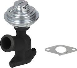 Pierburg Egr Valve