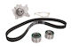 Water Pump Set + Ina Timing Belt