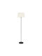 Eglo Floor Lamp