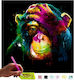 Mishbay 5d Diamond Painting Picture Monkey 30x40cm