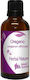 Ρίγανη Βάμμα Oregano 50ml Nature & Body