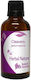 Tinctură de Lipicioasă 50ml Nature & Body