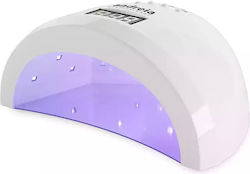 Andreia Professional Lamp LED Andreia Professional Lamp LED