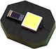 Cablu Plat LED Samsung G996b Galaxy S21 Plus 5G Original