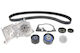 Wasserpumpe Set + SKF Zahnriemen