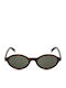 Ysl Jeanne Unisex Γυαλιά Ηλίου με Καφέ Ταρταρούγα Κοκκάλινο Σκελετό και Γκρι Φακό