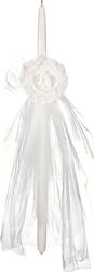 Sugar N Spice 4802.0003.39