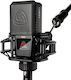 Lewitt Autofocus Πυκνωτικό Μικρόφωνο XLR Shock Mounted για Φωνητικά