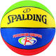 Spalding Rookie Gear Basketball